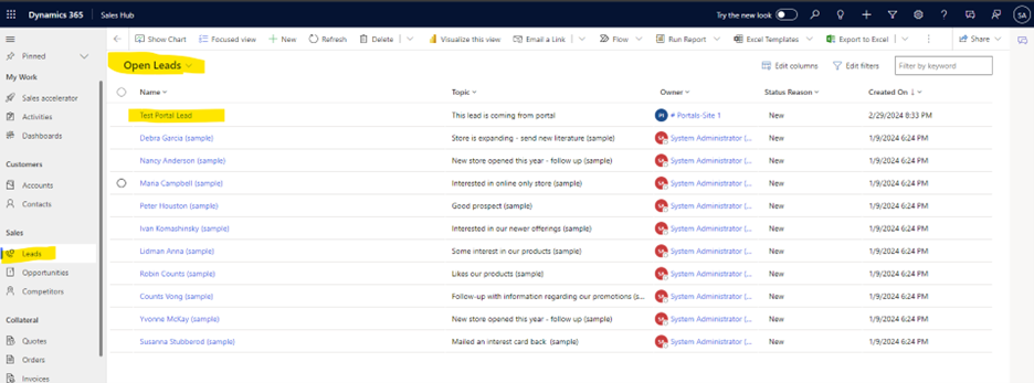 How to Map Power Pages to Leads Entity (20)